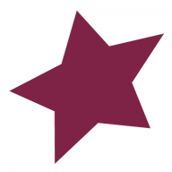 American Millennium Insurance Company logo